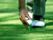 Golf Course